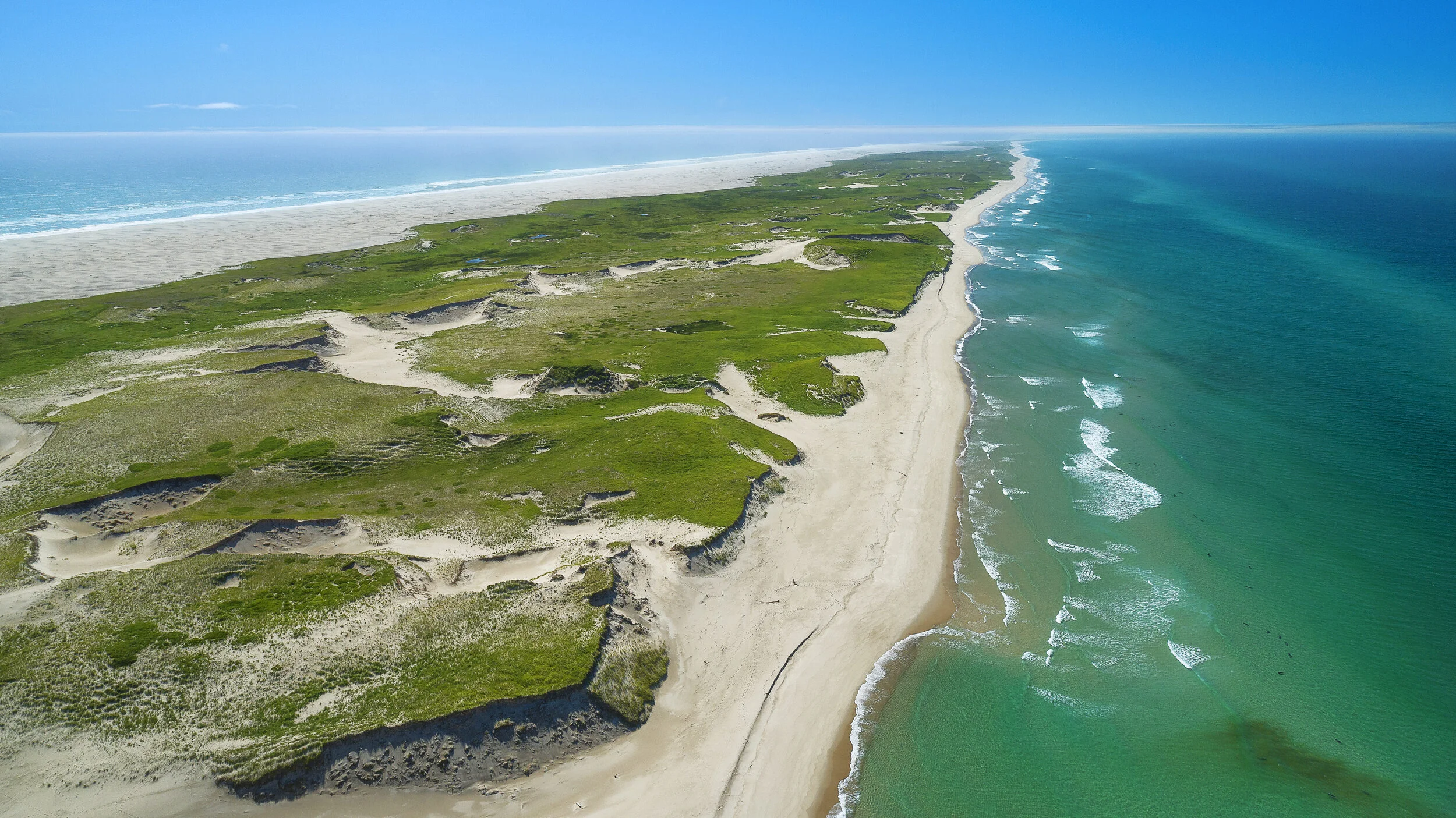 Sable Island Coast 