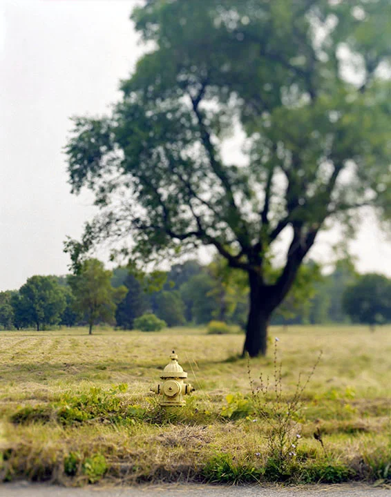 RICH_LoveCanal_02_hydrant.jpg