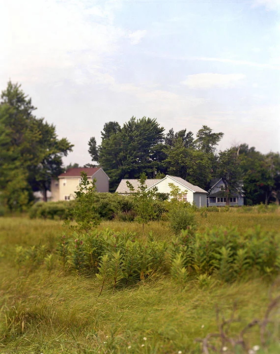 RICH_LoveCanal_03_newhouses.jpg