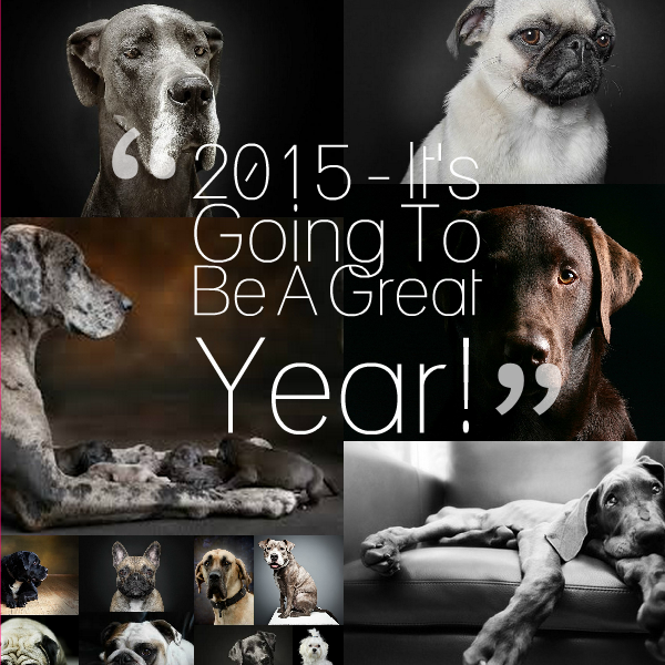 2015 - It's Going To Be A Great Year!