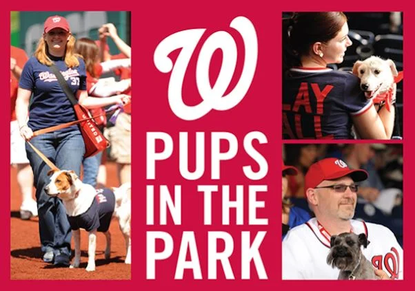 Dog Walking, Baseball, Pups In The Park = Great Support For The Washington Human Society!