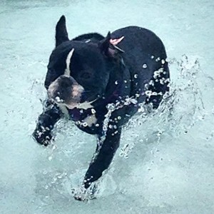 What's That? Another Water Park Adventures Day??!!