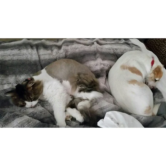 2014-09-23_1411483099.jpg