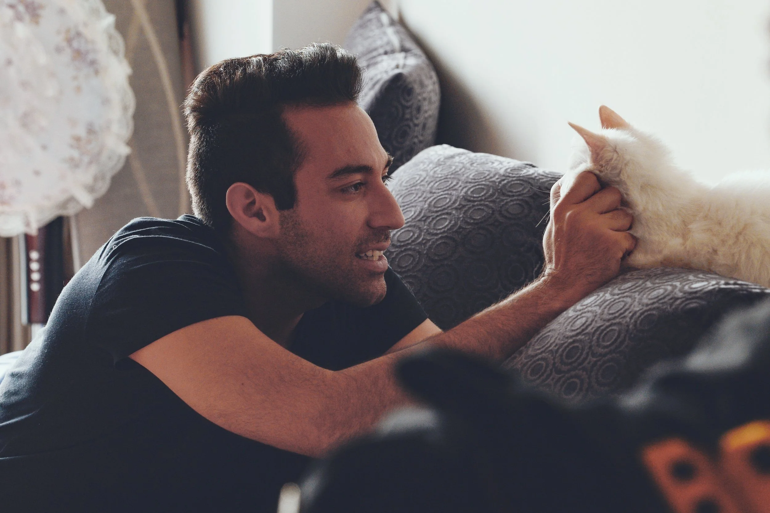 Professional Pet Care Associate - NOMA