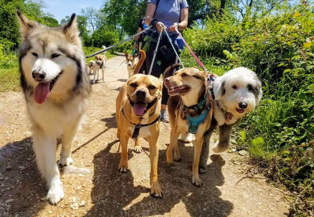 Late Afternoon Adventures!