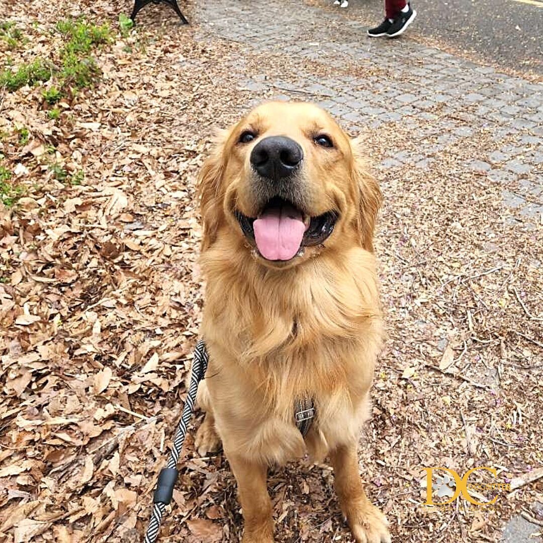 Here&rsquo;s Riley jumpstarting your week in the most adorable way possible!😍