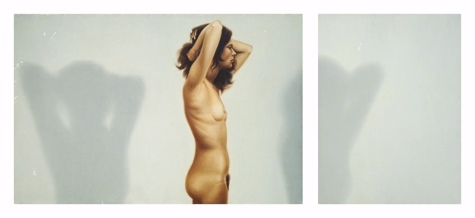 Nude with Shadow