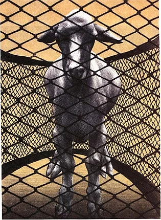 Netted Sheep, 1992