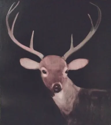  Joe Andoe, Deer, Oil on canvas 72 x 60 inches.