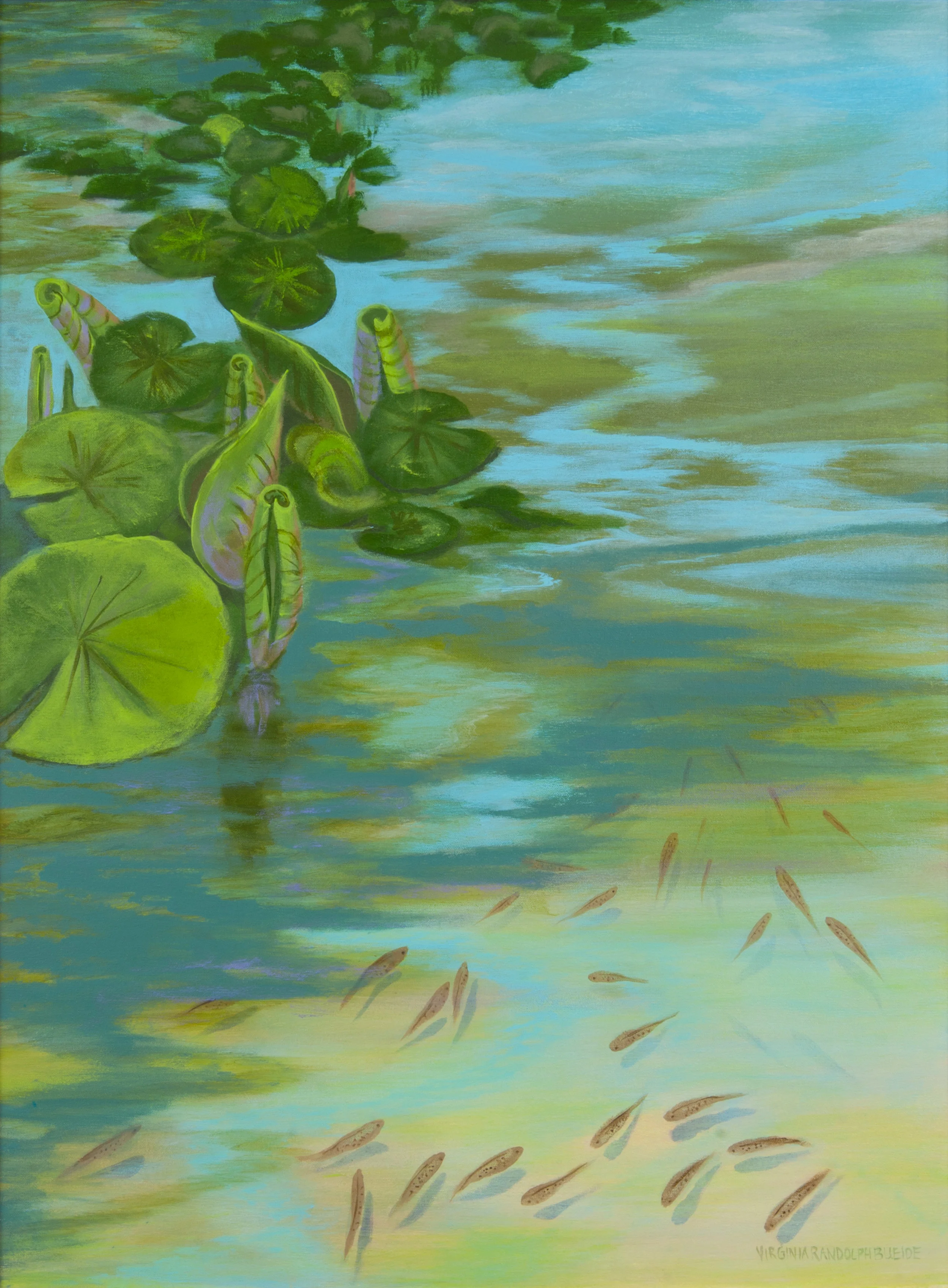 Unfurling with Minnows
