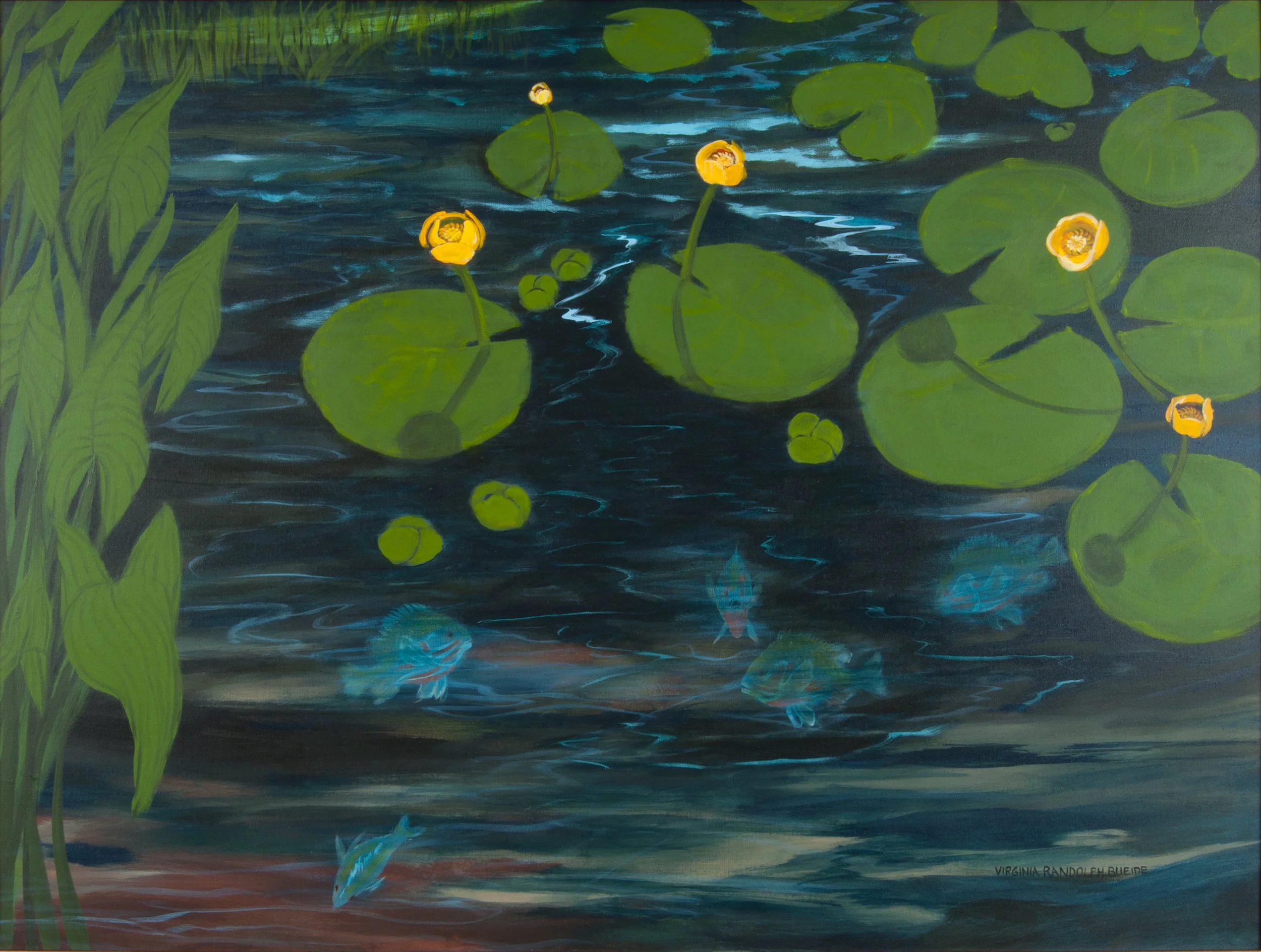 Waterlily Yellow (Bullheads)