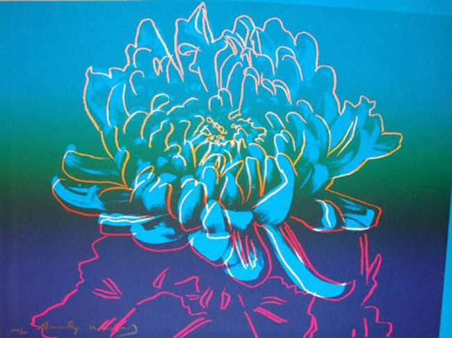 Kiku (FS II.307), 1983