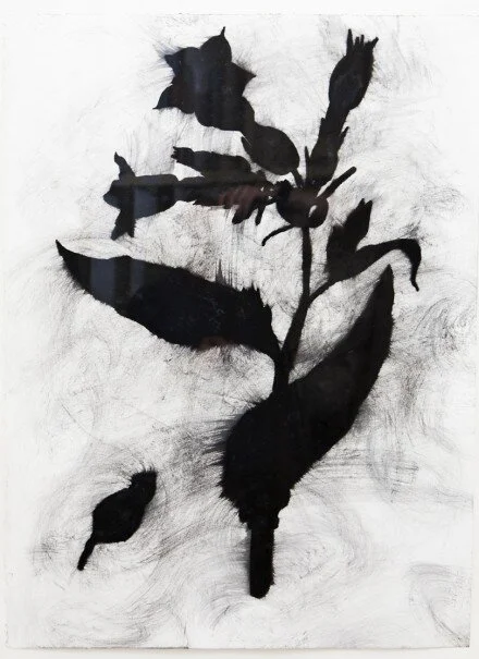 Randy-Reeves-Tobacco.jpg