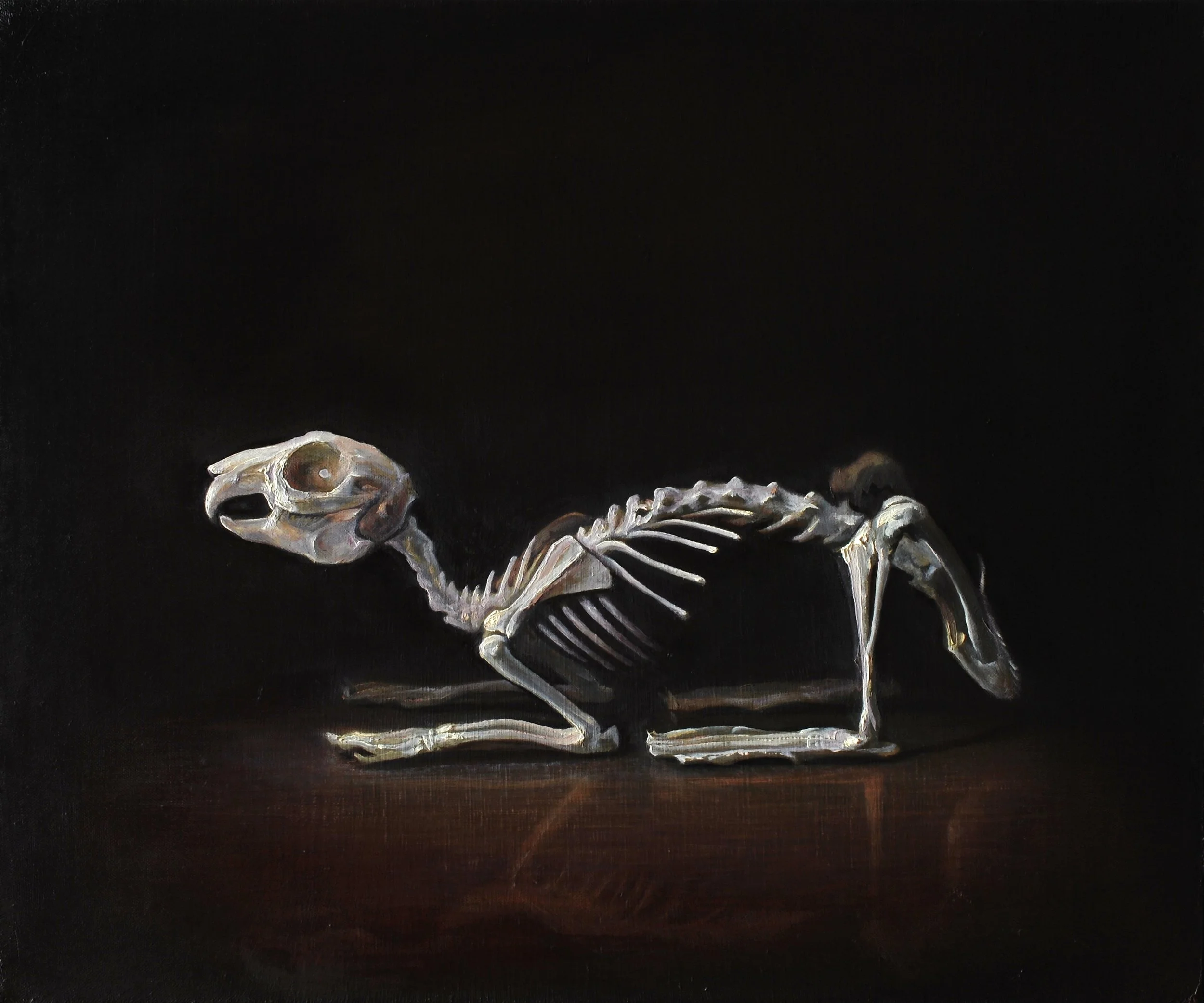 LukeHillestad-RabbitSkeleton-20x24.JPG