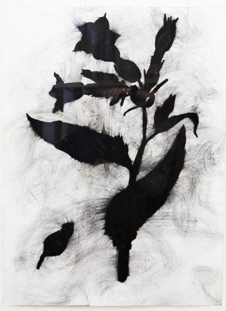 Randy-Reeves-Tobacco.jpg