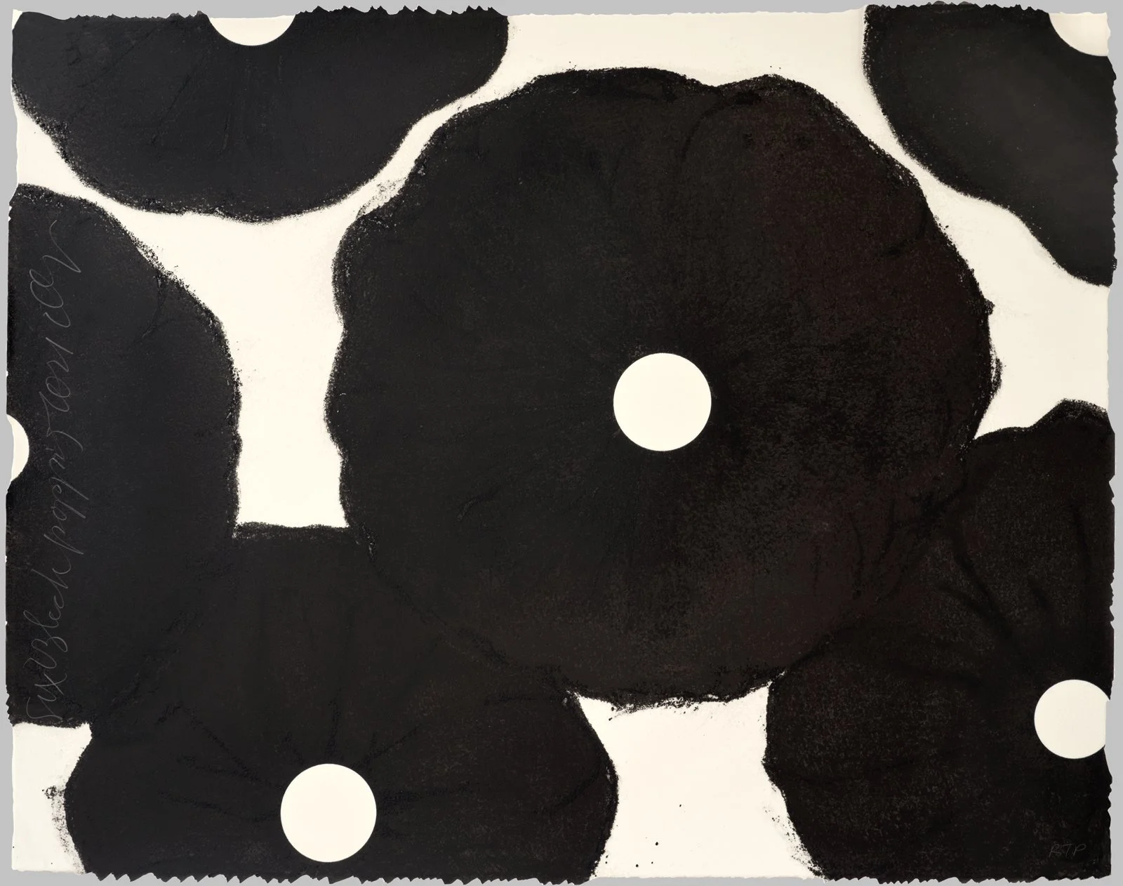 Six Black Poppies (from Five Poppies), 2021 / 2023