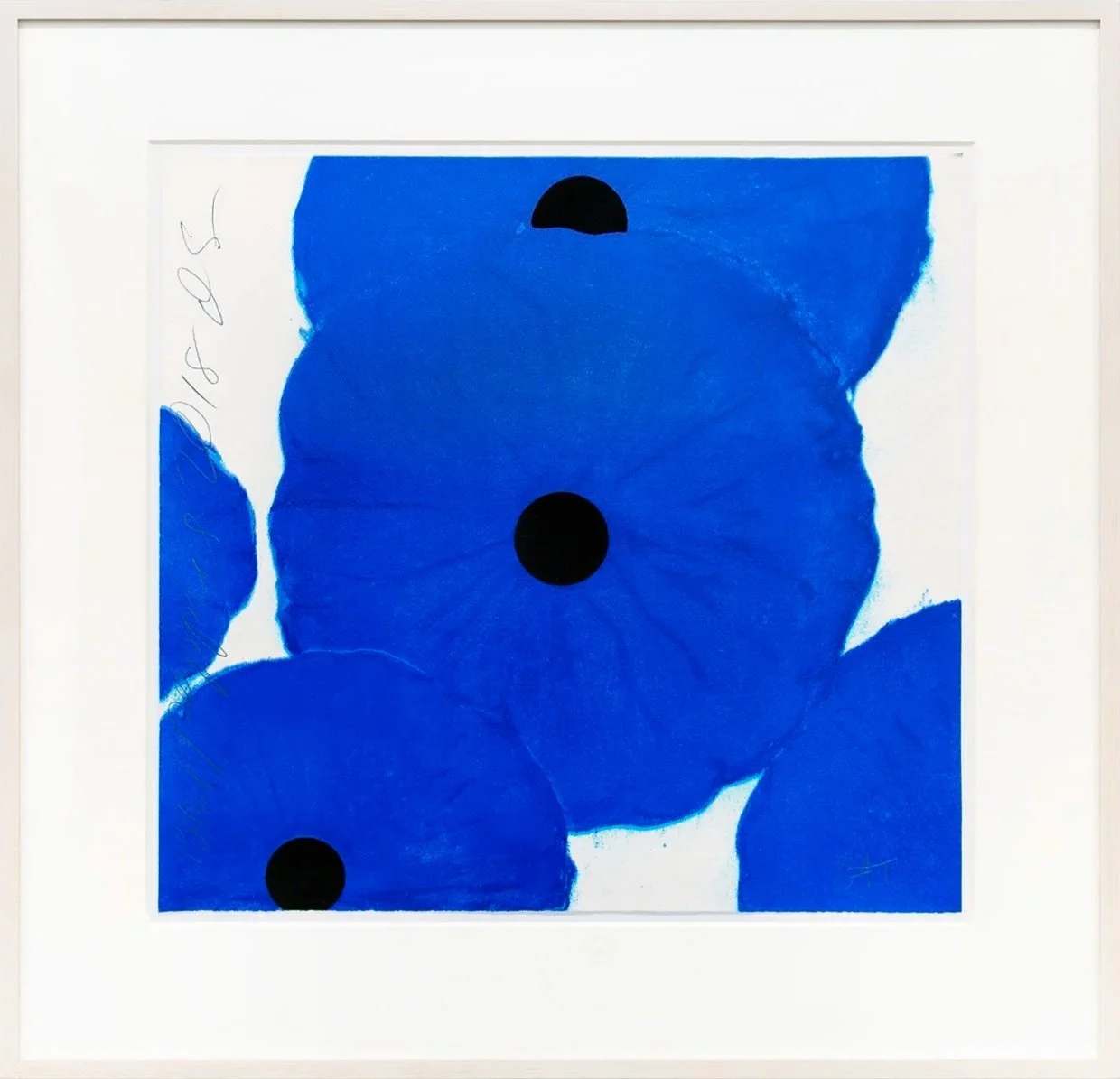 Blue Poppies, 2018