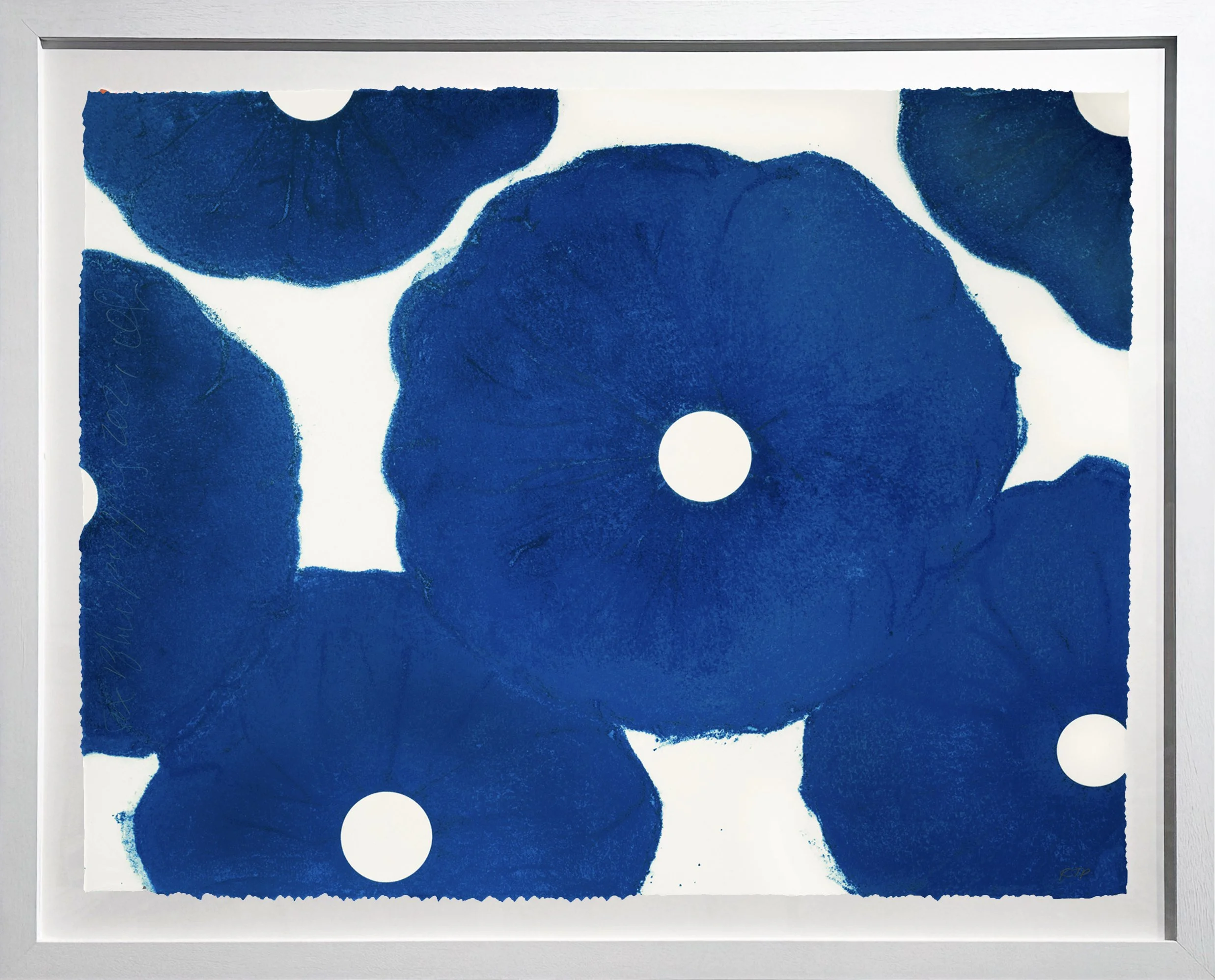 Six Blue Poppies (from Five Poppies), 2021 / 2023