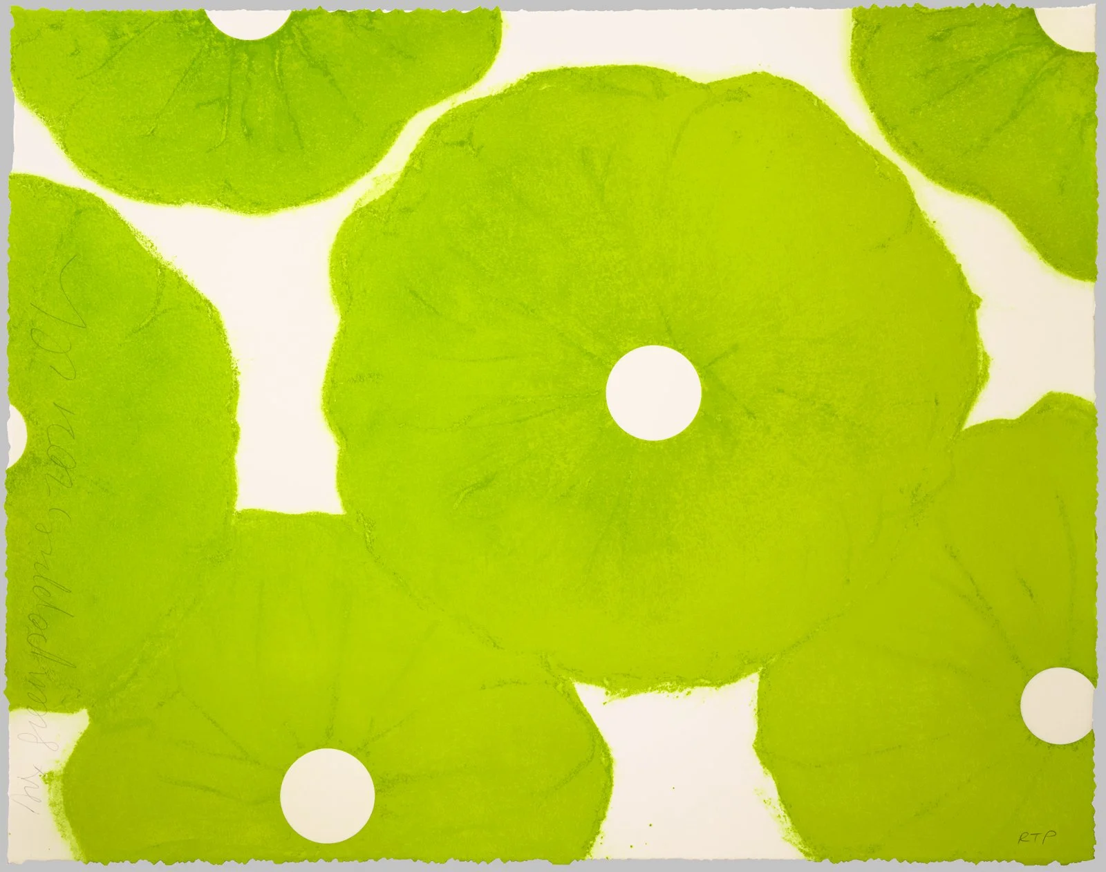 Six Green Poppies (from Five Poppies), 2021 / 2023