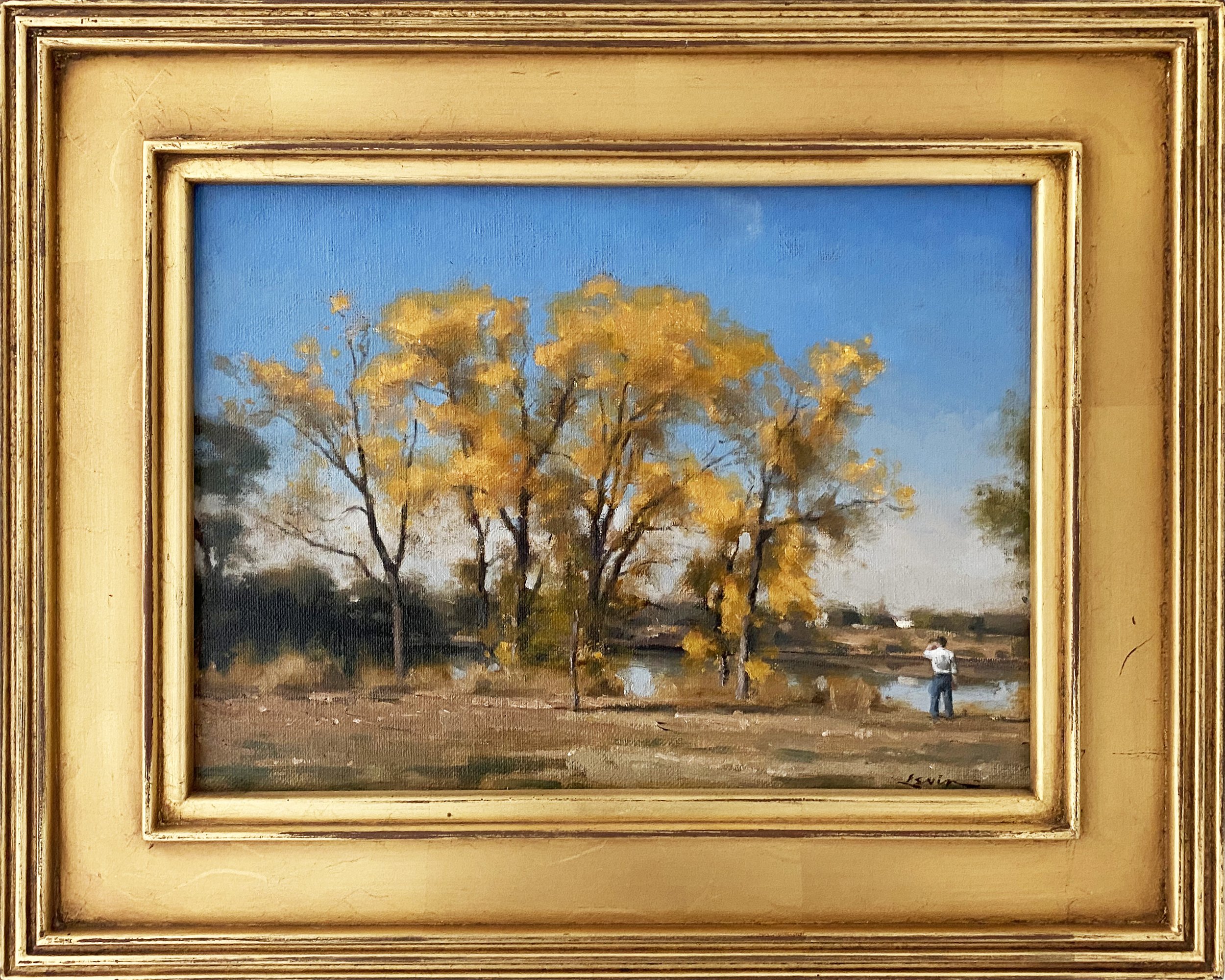 Golden Elms, 2016