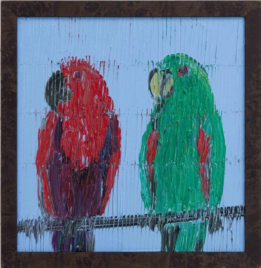 Eclectus Pair, 2025