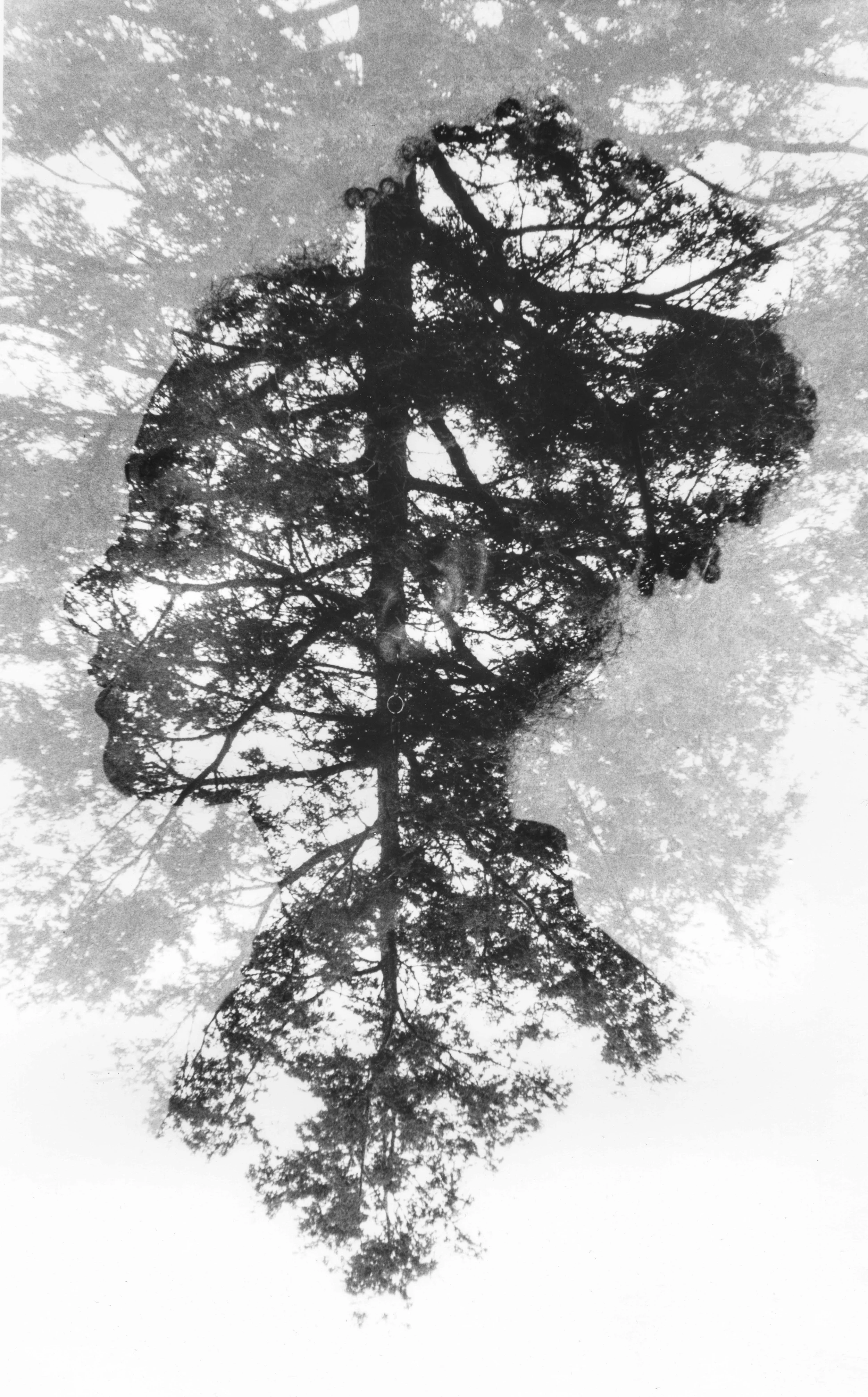 doubleexposure-2.jpg