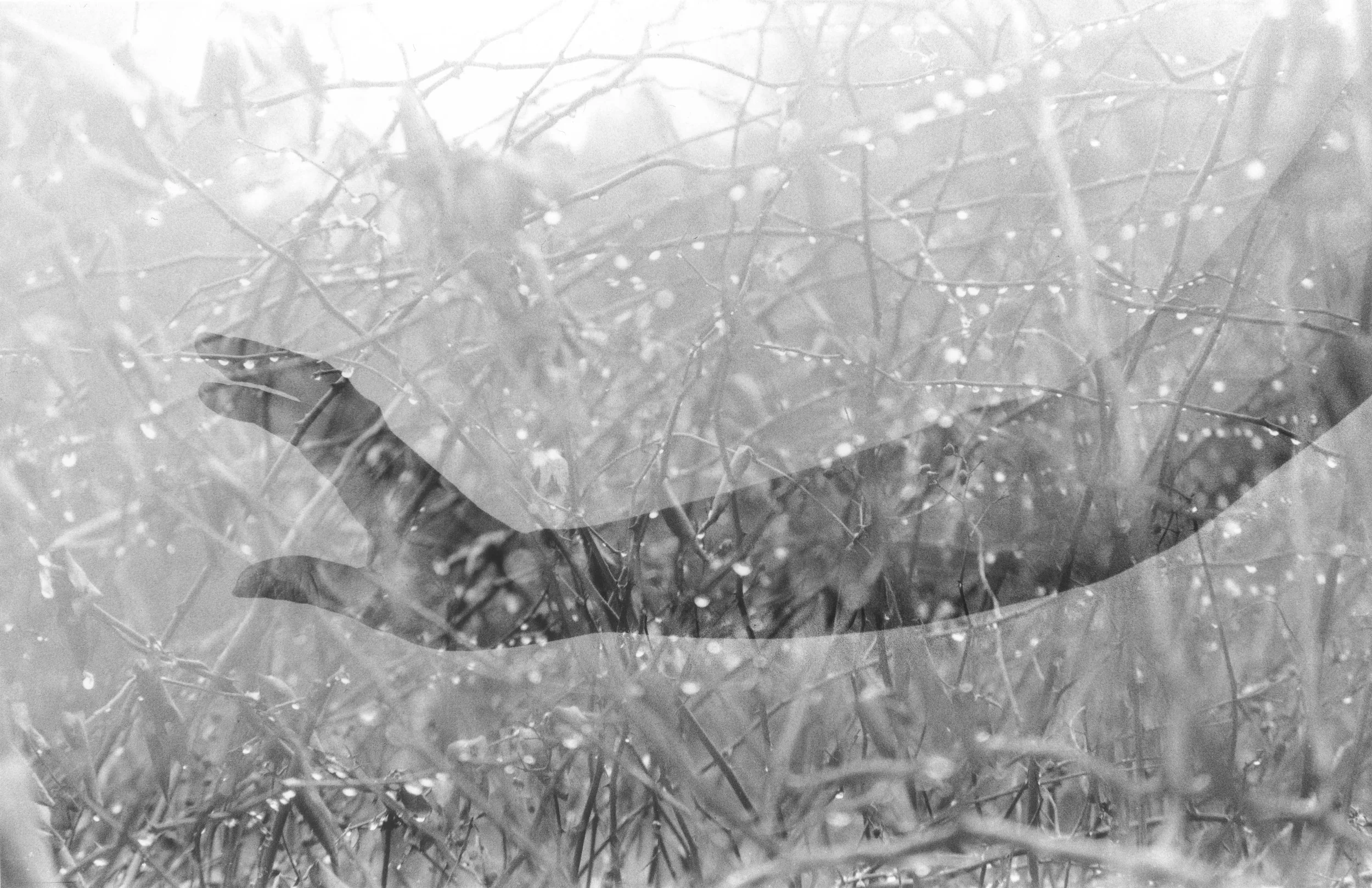 doubleexposure-29.jpg