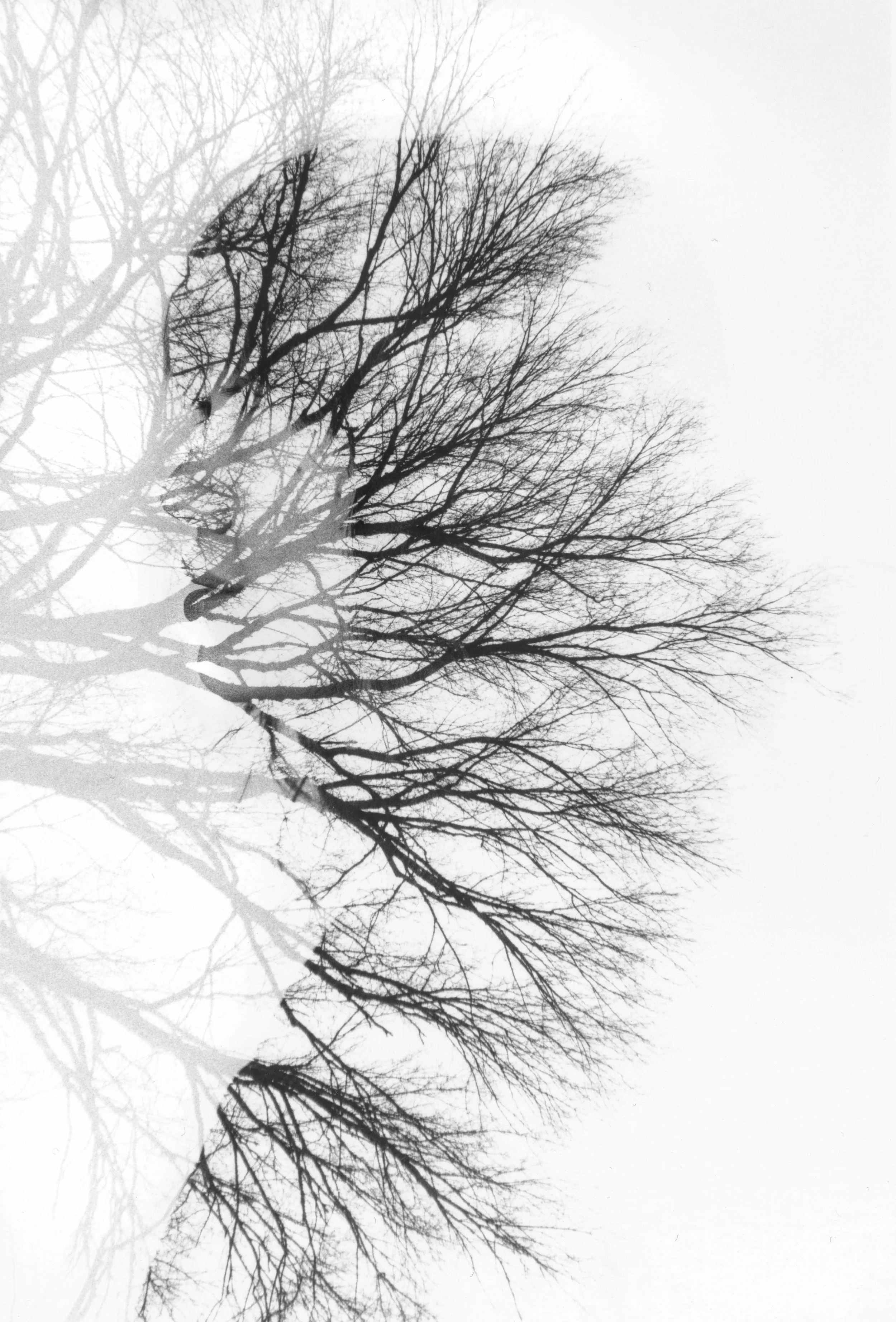 doubleexposure-41.jpg