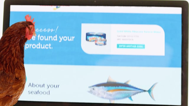 Chicken of the Sea | Traceability