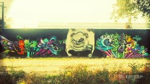 MOMENTUM ART TECH X FATCAP | C3PO X TOKEO