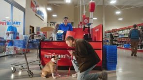 PetSmart | Something Worth Wagging About