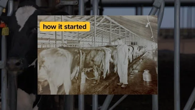 California Milk | Venemen | How It Started