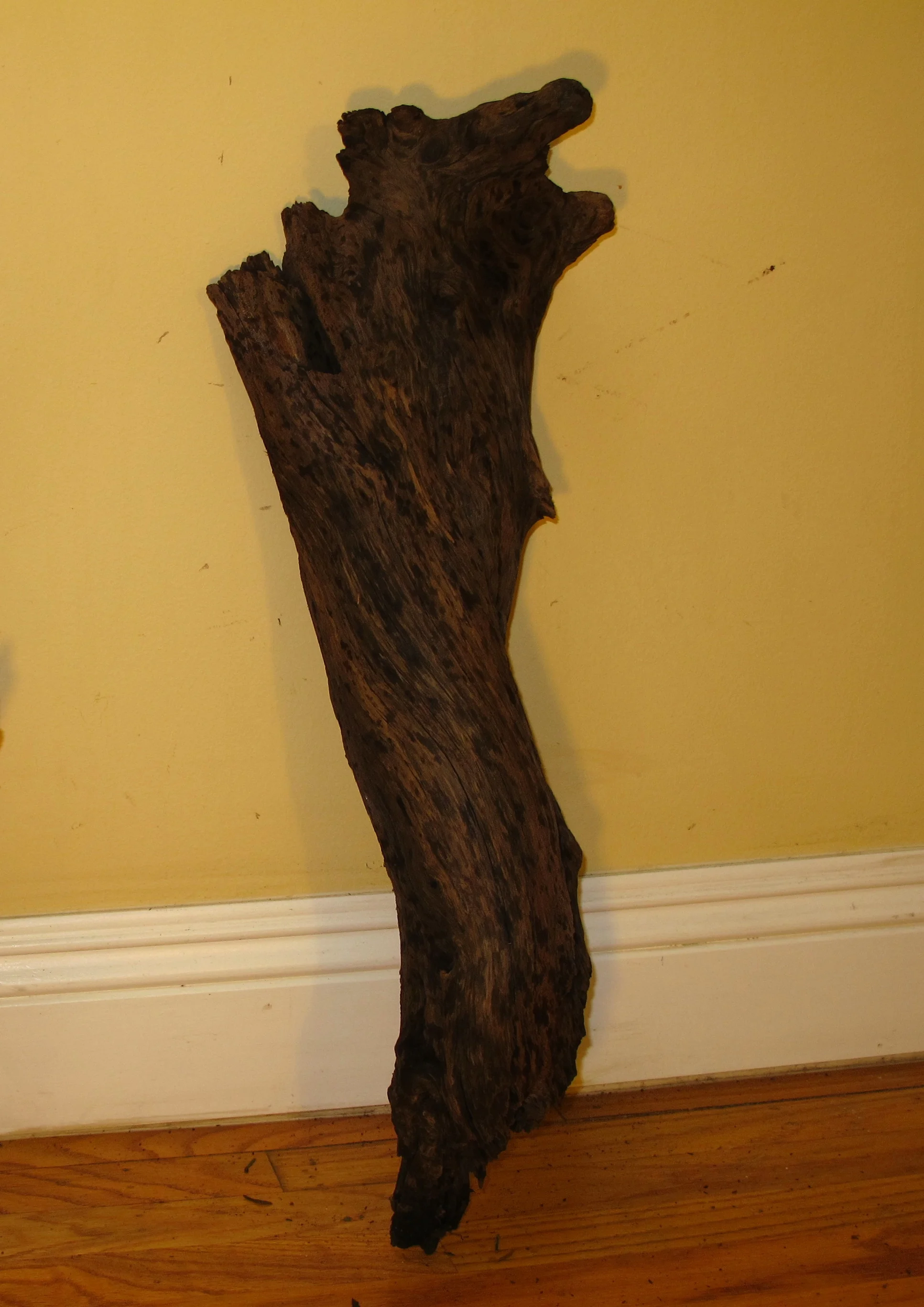 IMG_7916 - Version 2.JPG