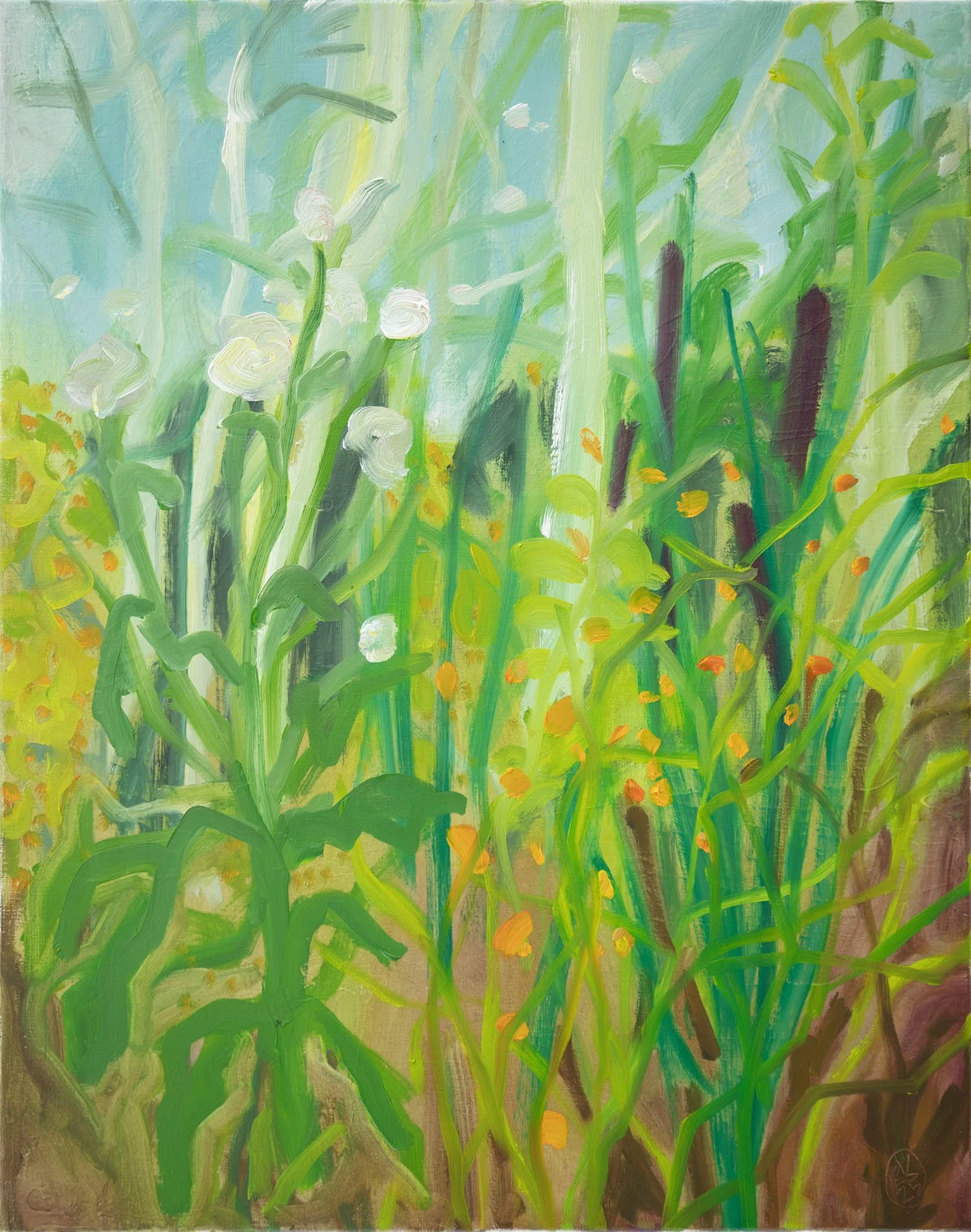   Burnweed, Cattails & Jewelweed  2025, Acrylic and oil on linen  20 x 16 in. (50.8 x 40.6 cm) 