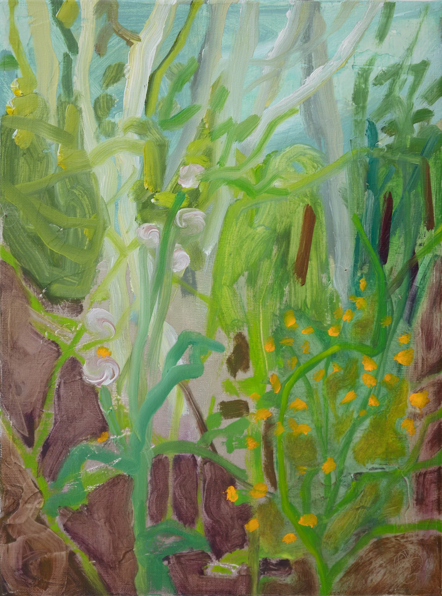   Jewelweed, Burnweed & Birches  2025, Acrylic and oil on linen  12 x 9 in. (30.5 x 22.8 cm) 