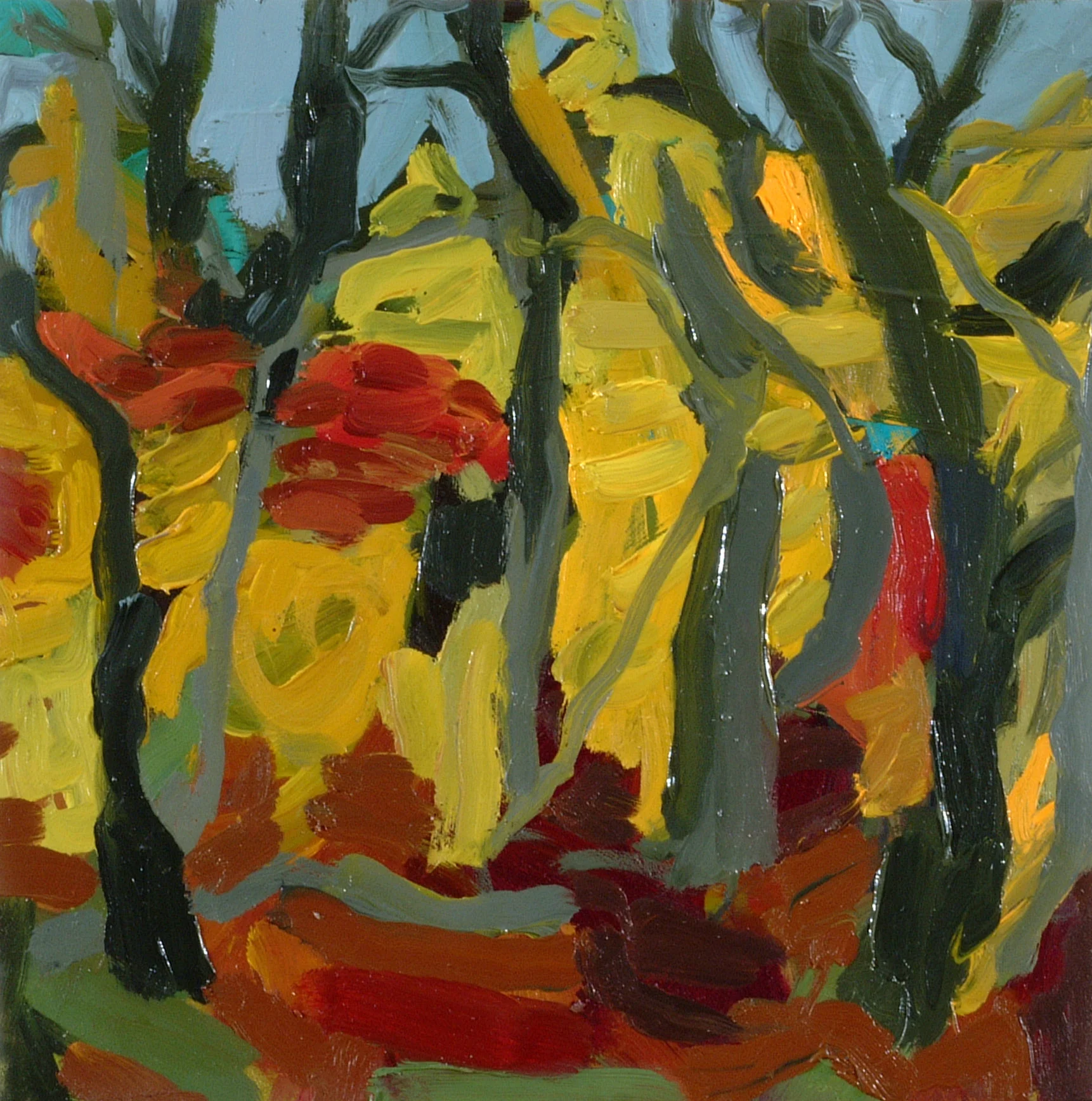 November Maples, II