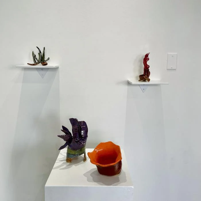 “Shoots & Stars: Sarah Lutz & Rachelle Krieger”,  Susan Eley Fine Art, Hudson NY, November 17 – December 31, 2022