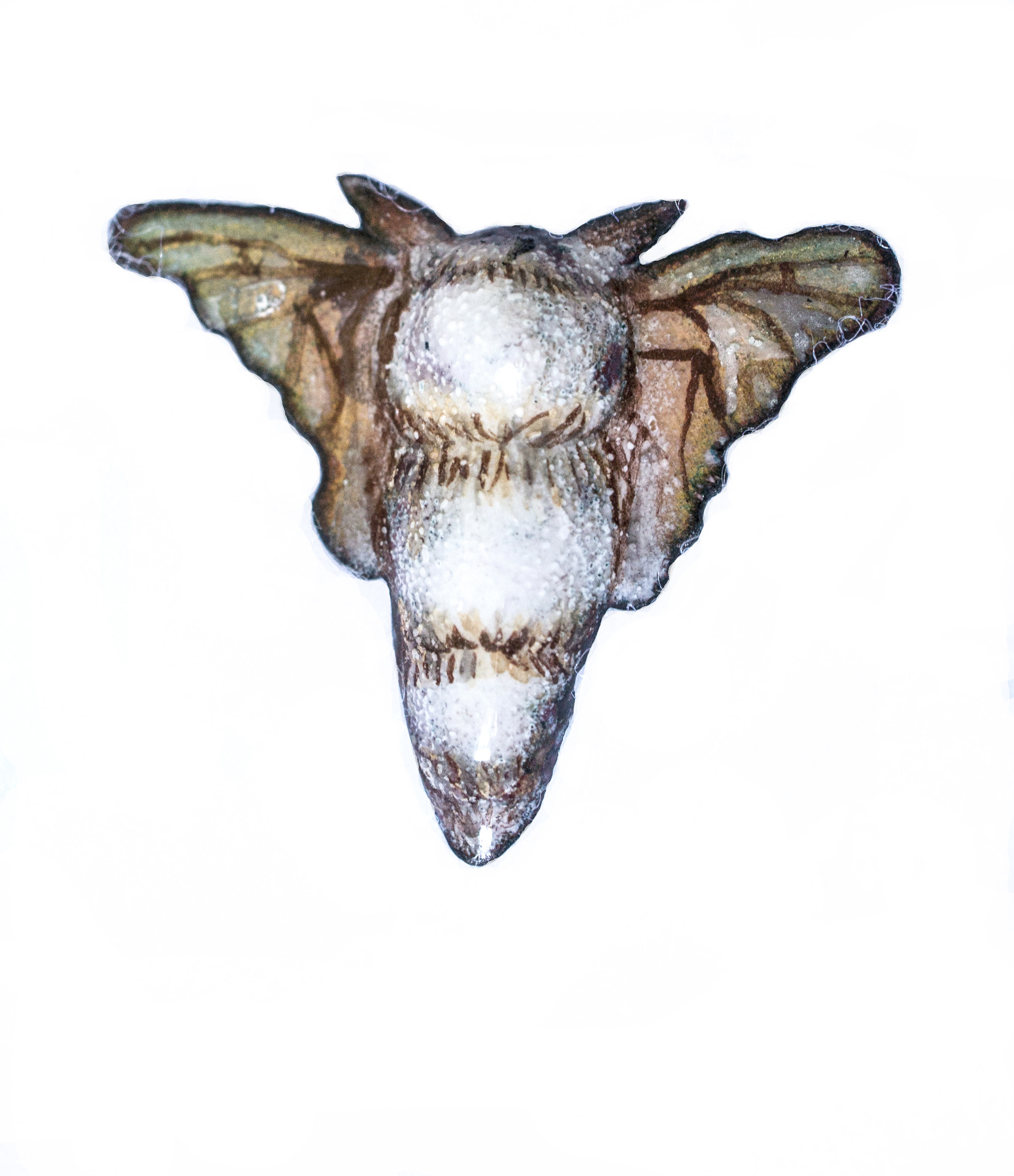 Bombyx mori (detail of individual moth)