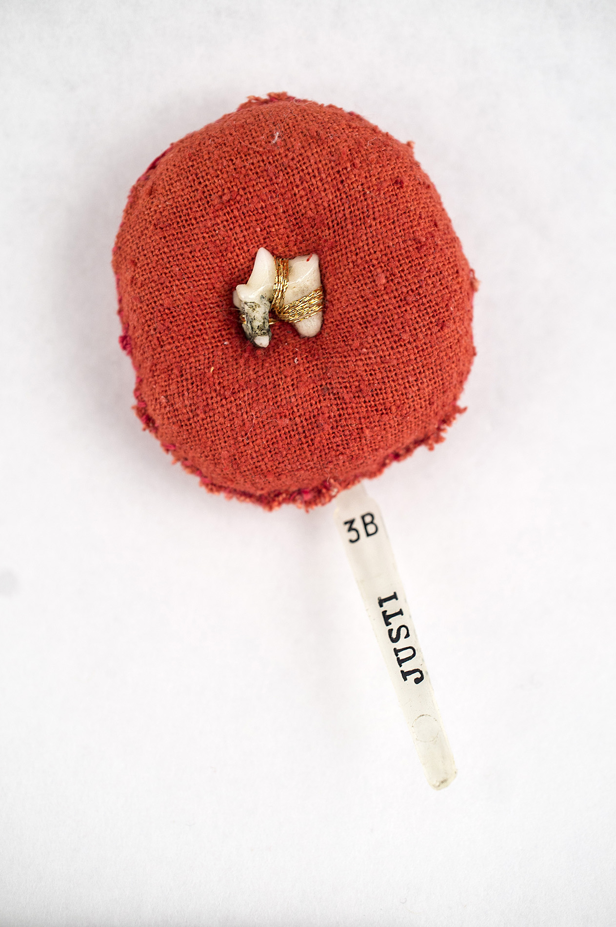Tooth Fairy Sample (detail)