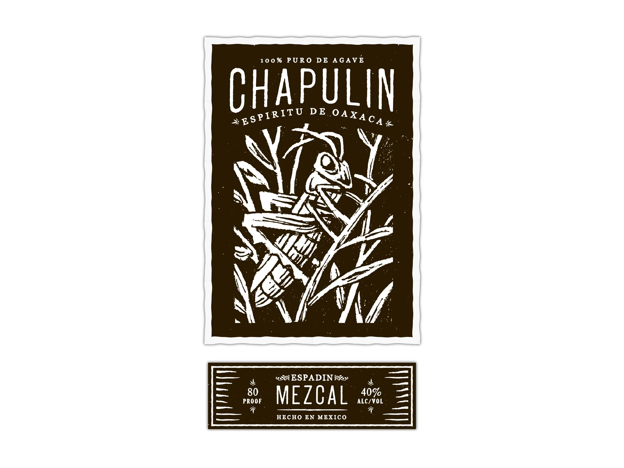Chapulin 083.jpg