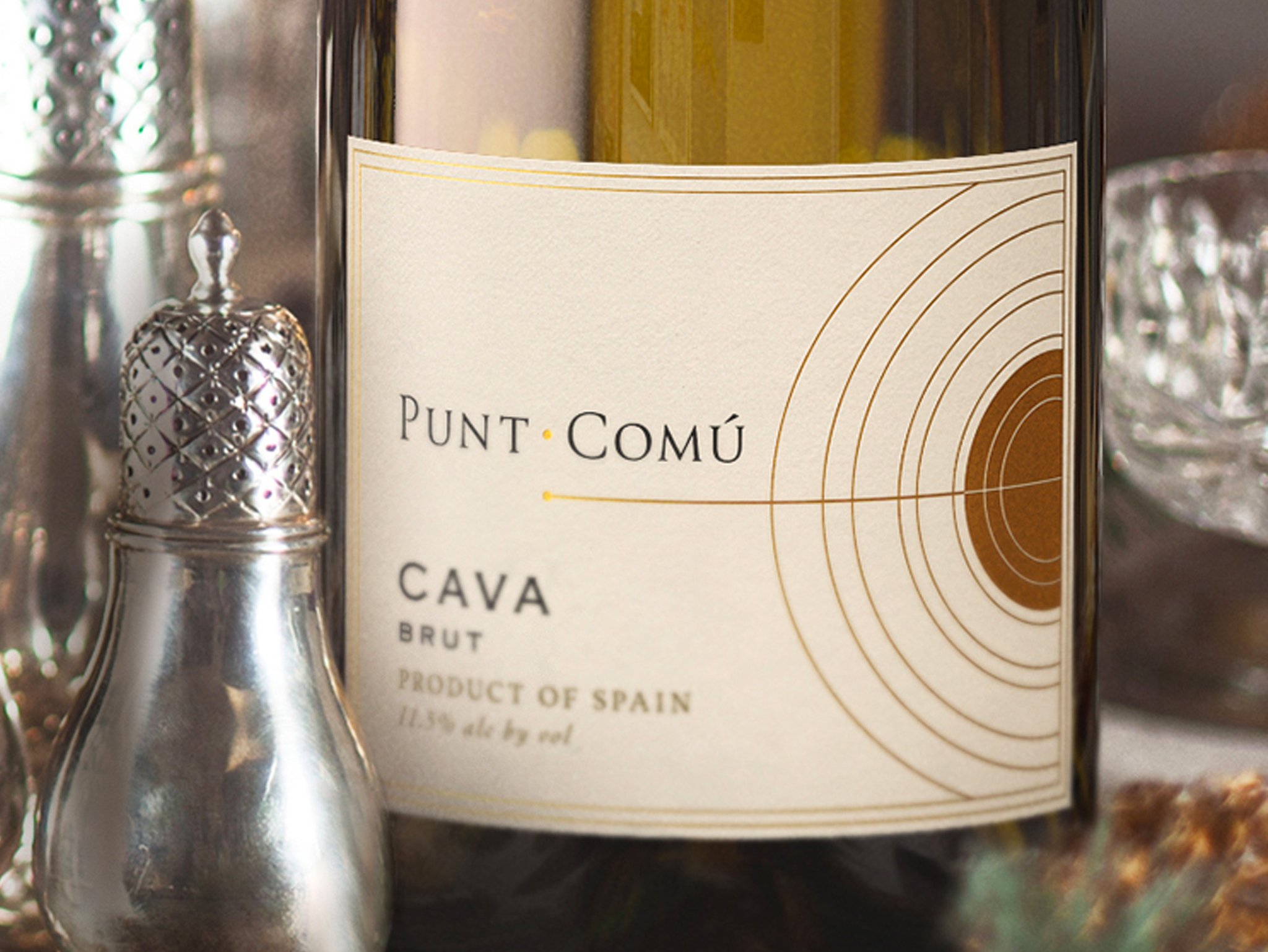 Punt Comú hero.jpg
