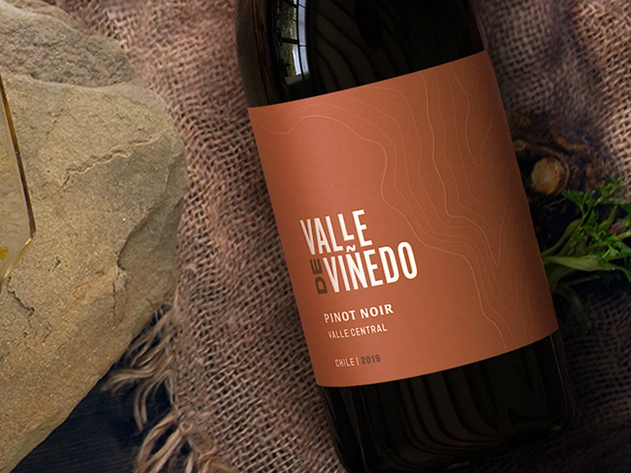 Valle de Viñedo_Hero.jpg
