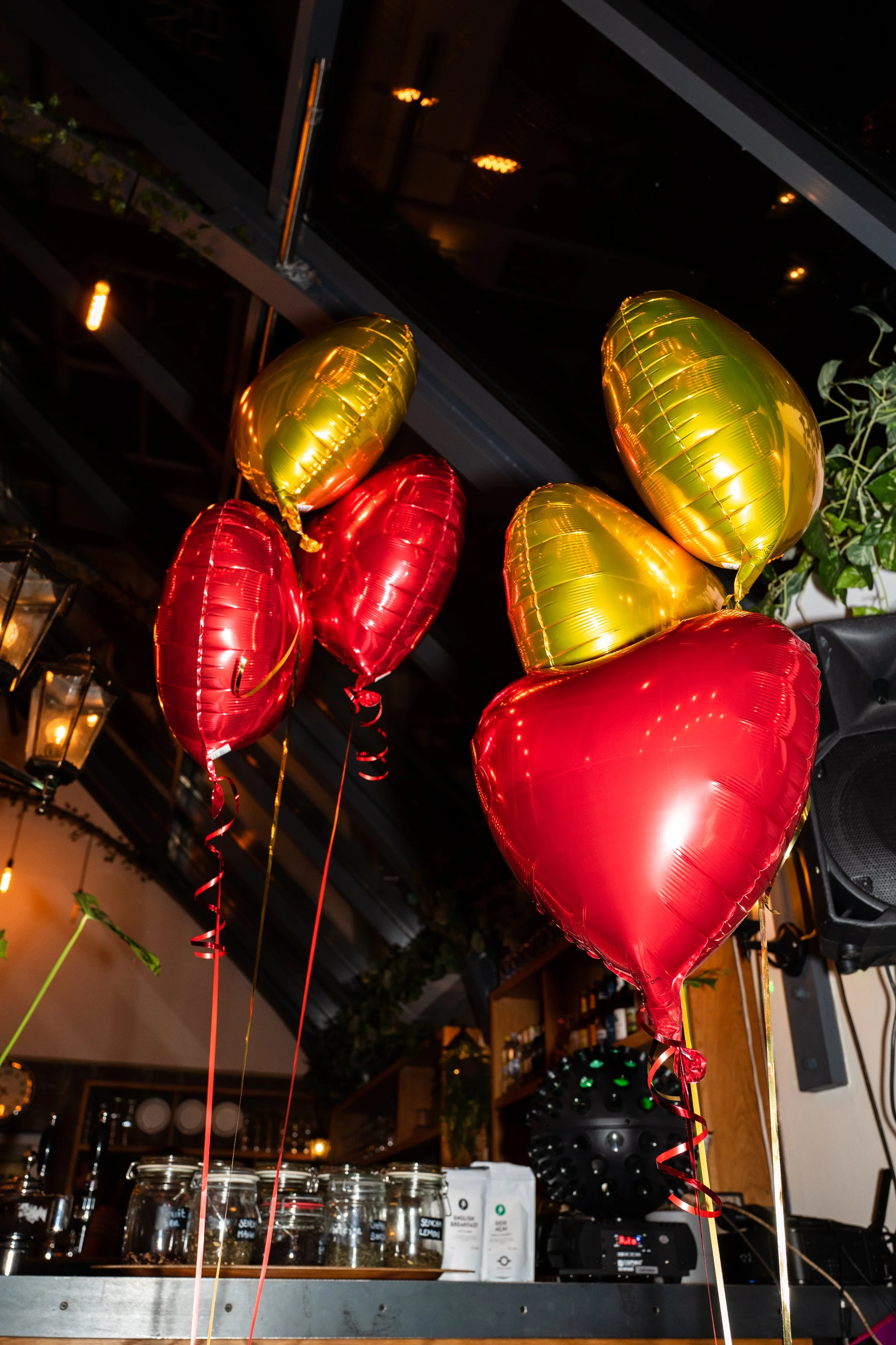 Meet & Greet Stemming -5.jpg