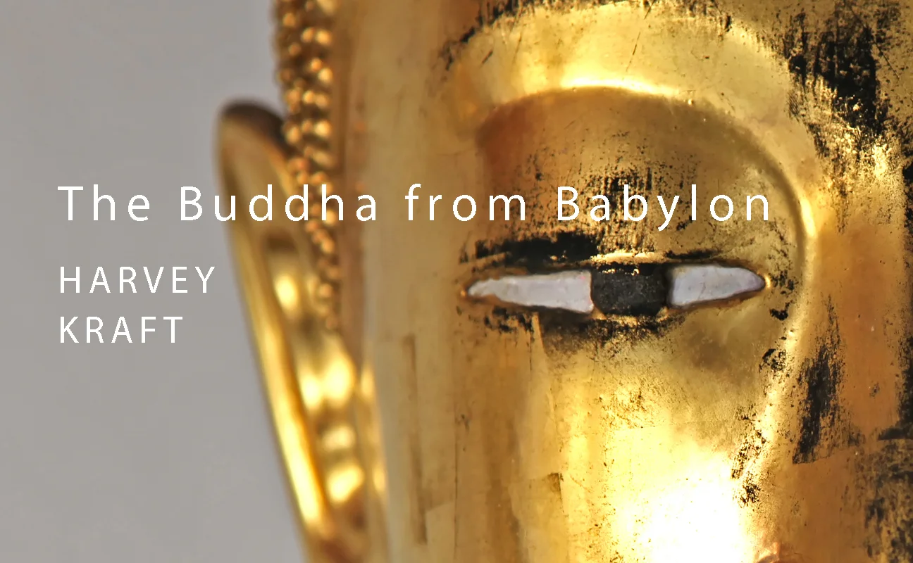 buddha-eye-bookportfolio.jpg