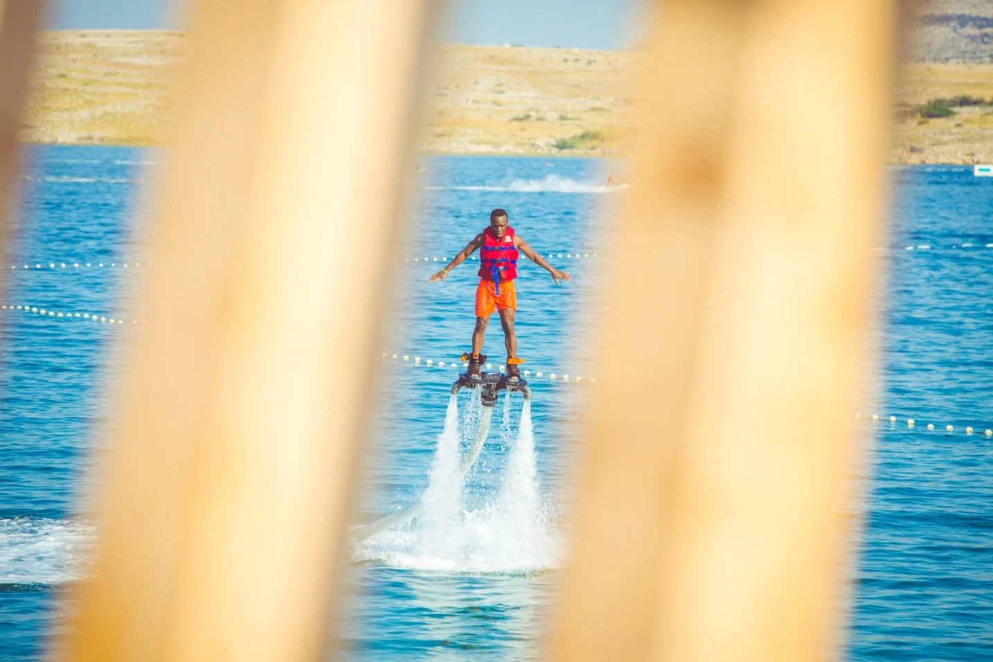 freshisland201549.jpg