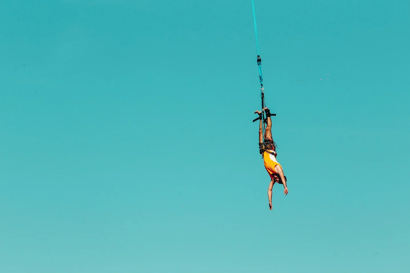 freshisland201511.jpg