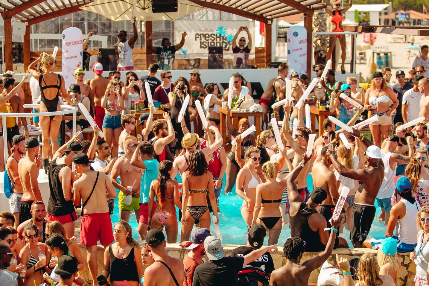 freshisland201512.jpg