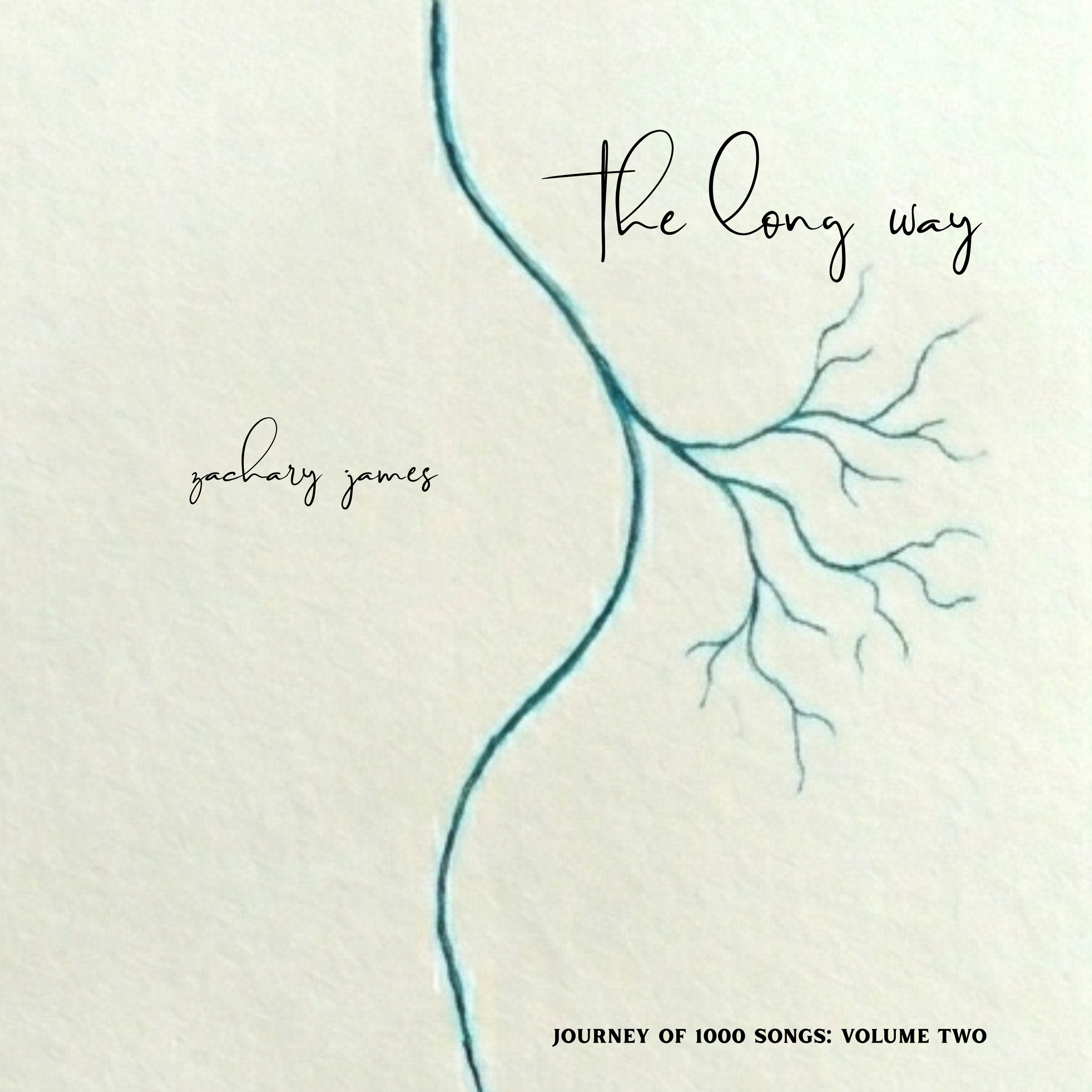 The Long Way- (LP) Coming June 15th