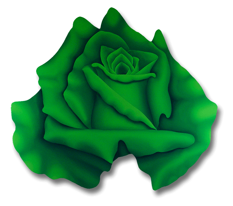Wild Irish Rose