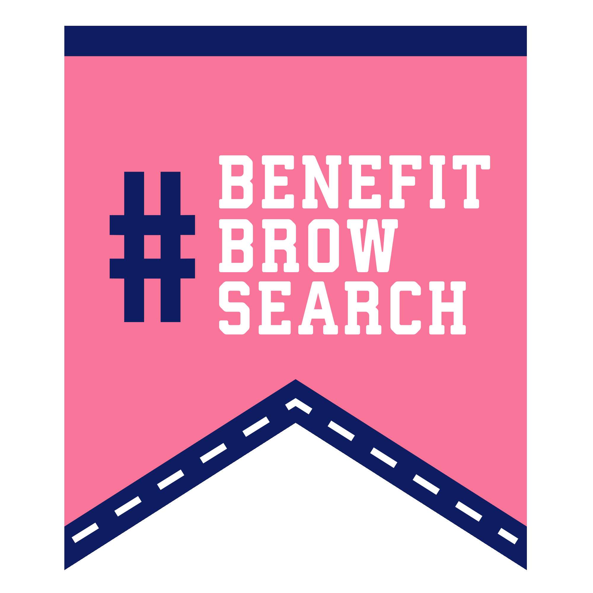 19_browsearch_academy_flag.gif